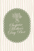 Surprise Mother’s Day Box
